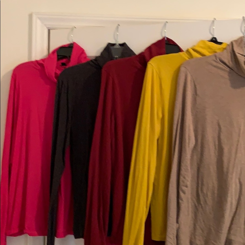 J. Crew Tissue Turtleneck/Factory Mercantile